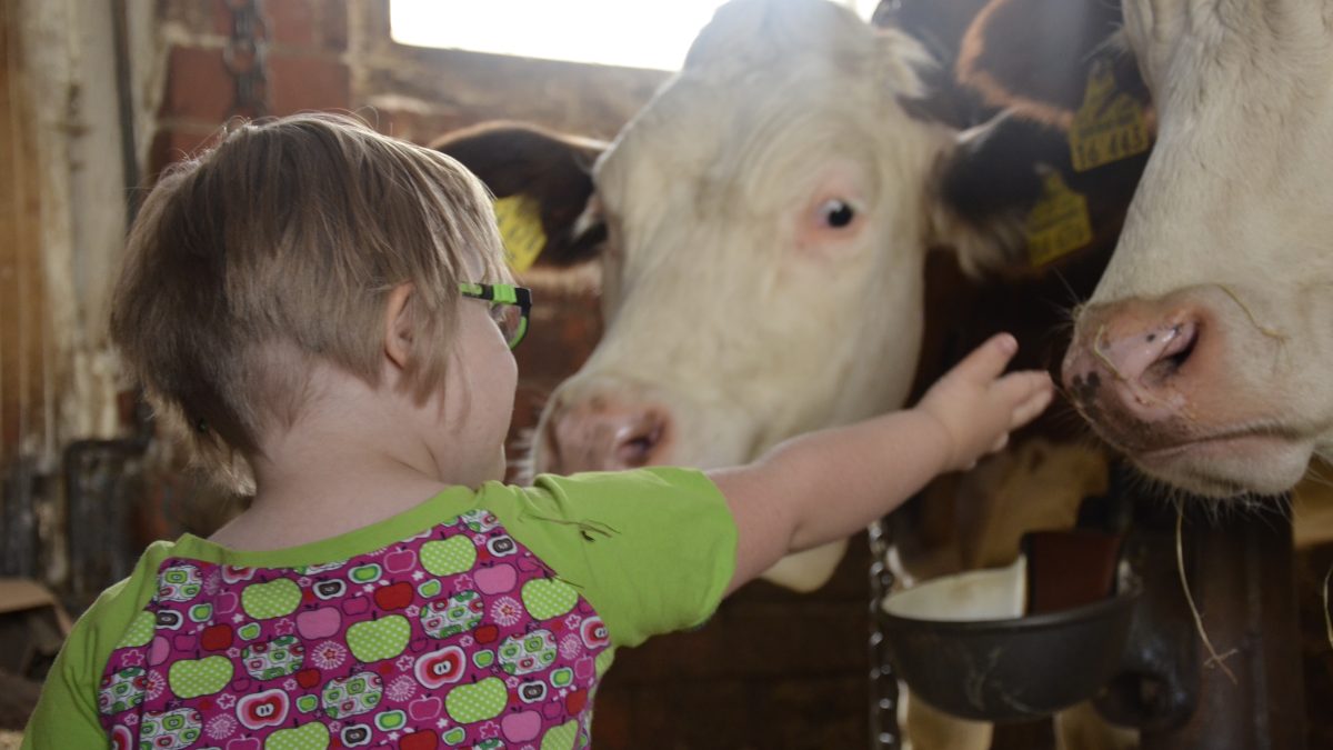 фото: pxhere.com/CC0