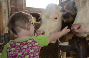 фото: pxhere.com/CC0