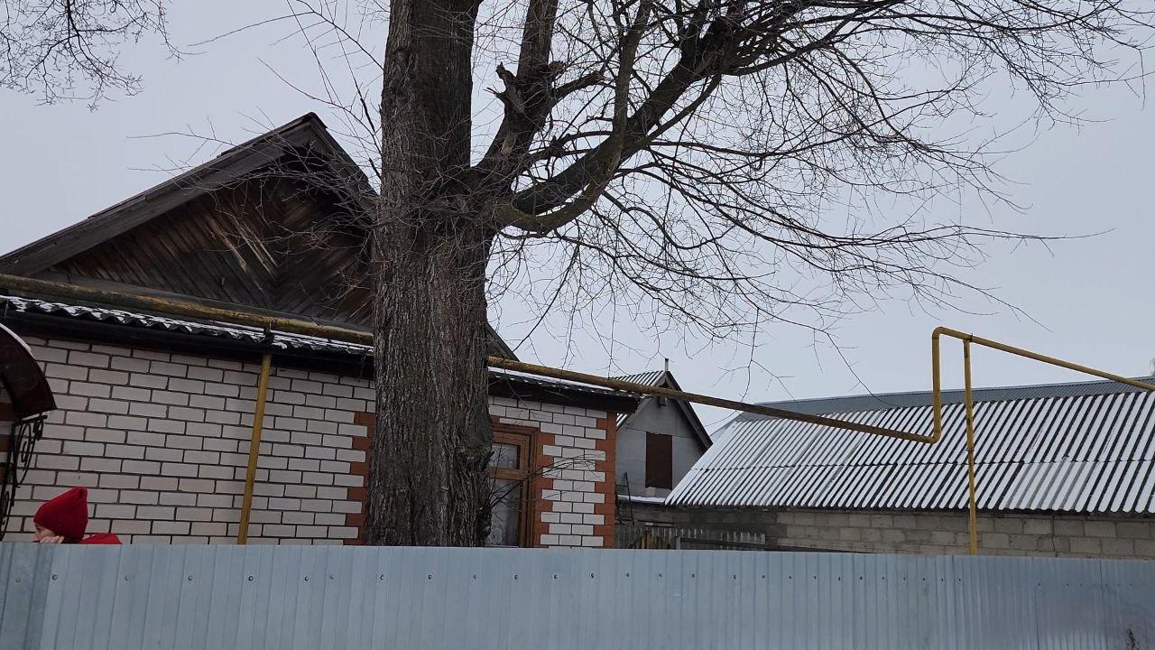 opasnoe derevo kak vlasti ichalkovskogo rayona reshayut problemu mestnogo zhitelya Житель Мордовии попросил Путина спилить дерево на его участке