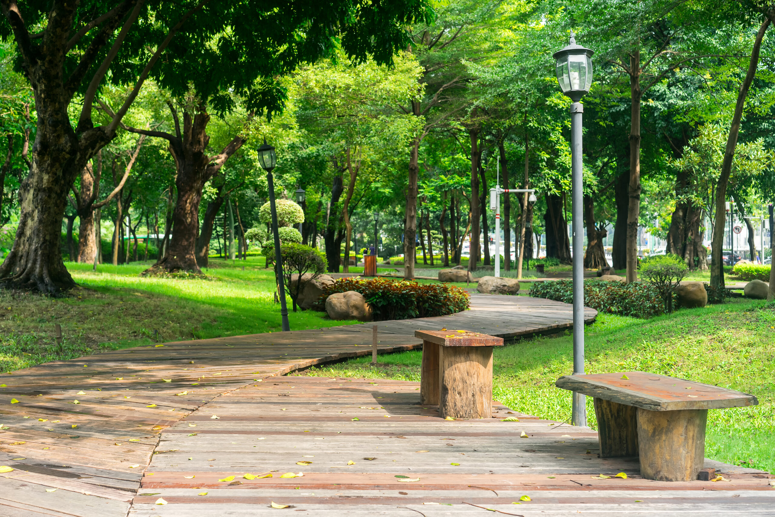 park with wooden pathway benches scaled В Мордовии благоустроили 309 дворов и 57 общественных пространств