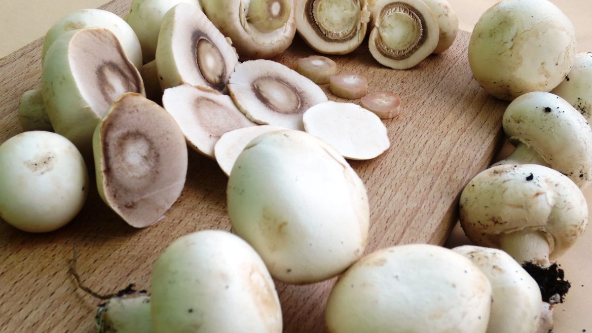 фото: pxhere.com/CC0