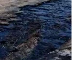 razliv nefti samarskaya oblast e1739142916135 В сети появилось эпичное видео, как в Самарской области нефть из прорванной трубы заливает все вокруг   