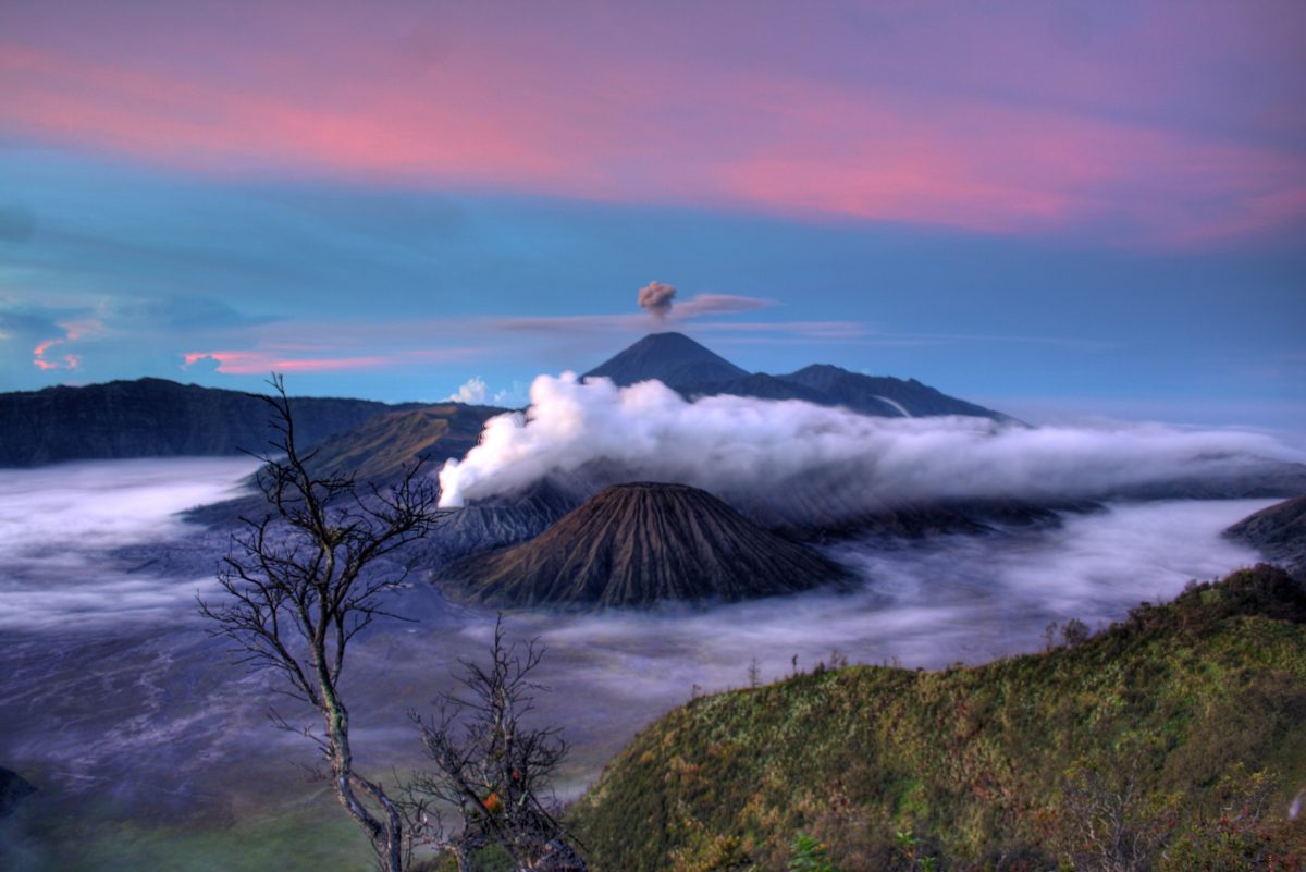 фото: pxhere.com/CC0