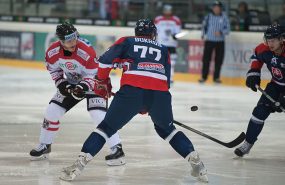 Фото: commons.wikimedia.org/Ailura/Creative Commons Attribution-Share Alike 3.0 at