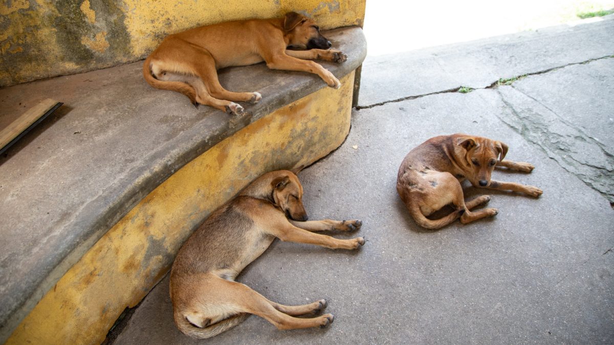 Фото: wirestock на Freepik