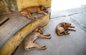 Фото: wirestock на Freepik