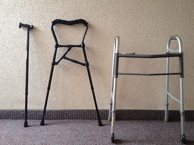 Фото: commons.wikimedia.org/KDPetersen/Creative Commons Attribution-Share Alike 3.0