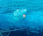 batiskaf sindbad foto2 e1743123051203 СМИ рассказали историю чудесного спасения россиянки и ее детей в Египте в день рождения туристки