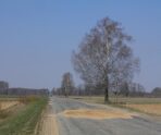 Фото: commons.wikimedia.org/Aleksandrs Timofejev…/Creative Commons Attribution 3.0