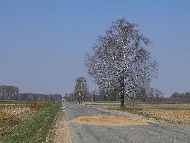 Фото: commons.wikimedia.org/Aleksandrs Timofejev…/Creative Commons Attribution 3.0