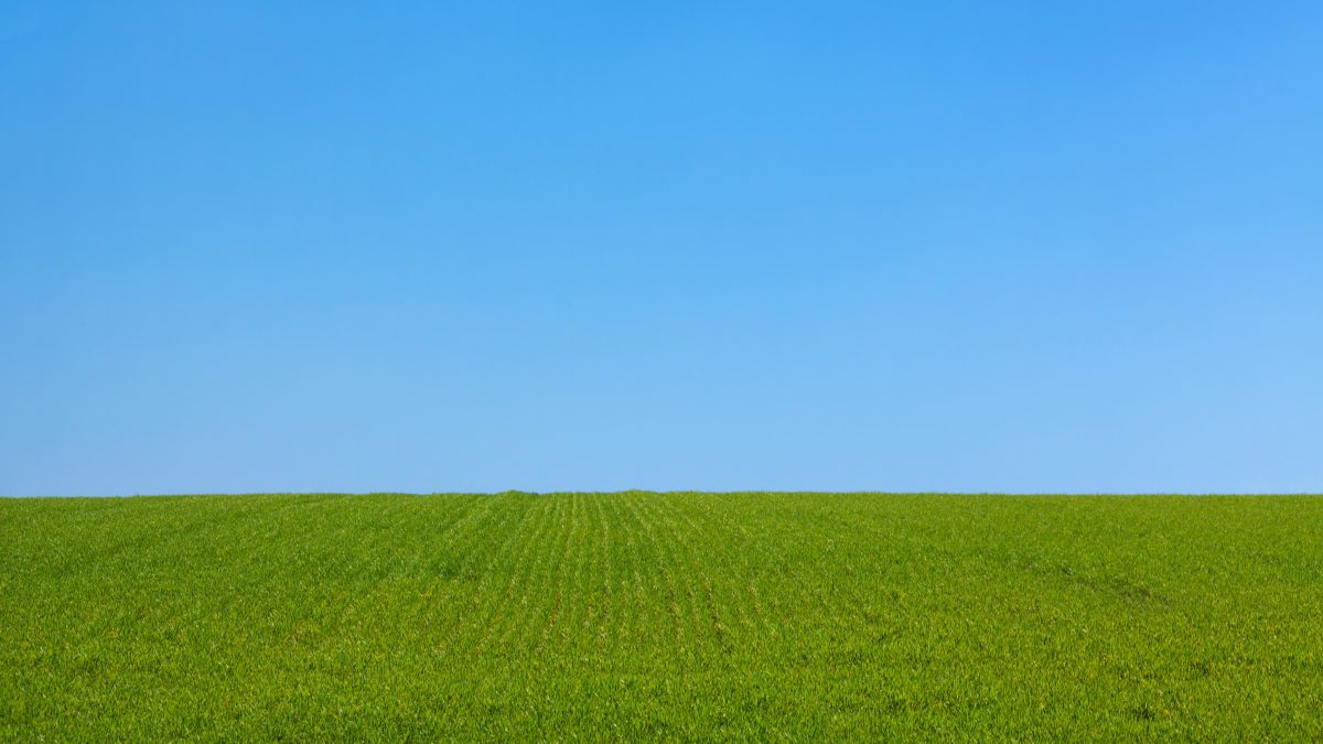 фото: pxhere.com/CC0