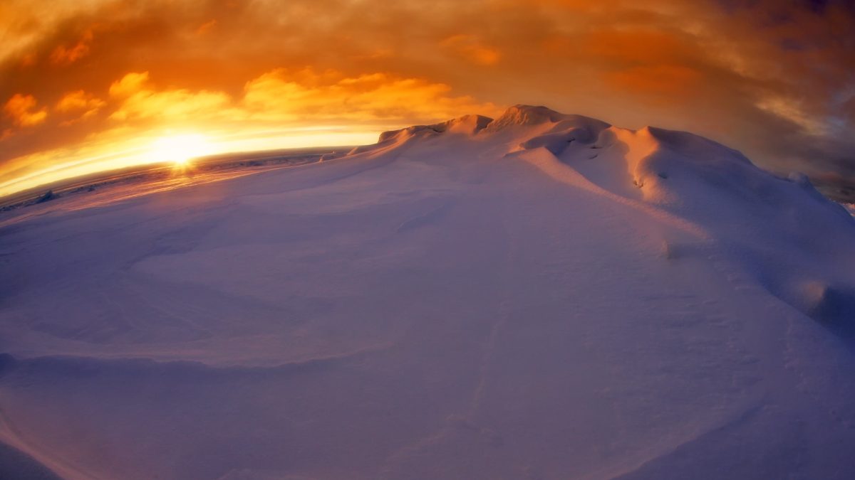 фото: pxhere.com/CC0