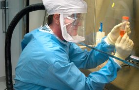 фото: pxhere.com/CC0