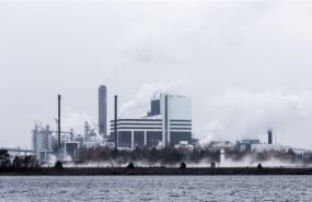 фото: pxhere.com/CC0