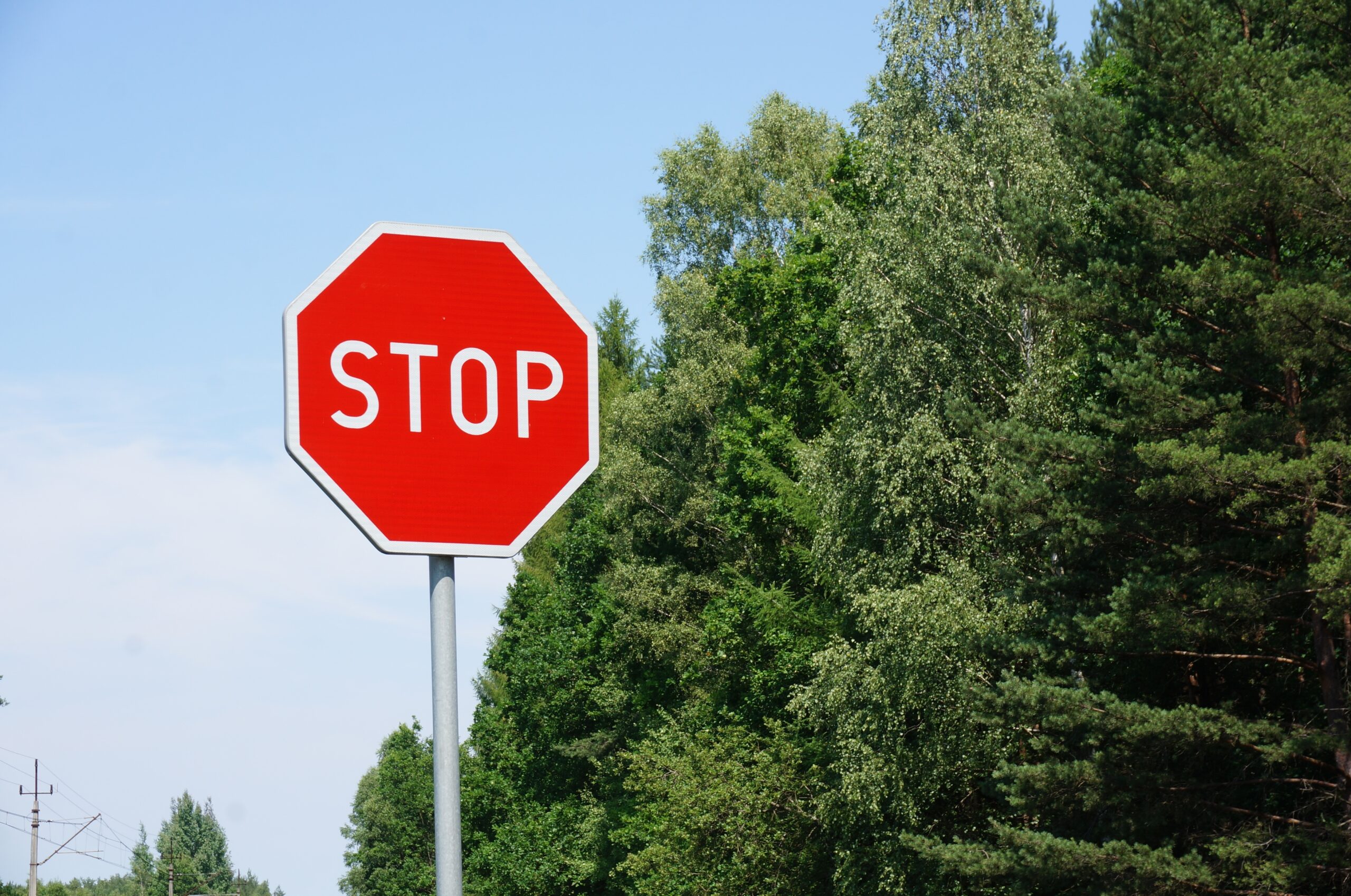stop sign beside row trees against blue sky scaled В Саранске ограничение движения транспорта в центре города 6-7 марта