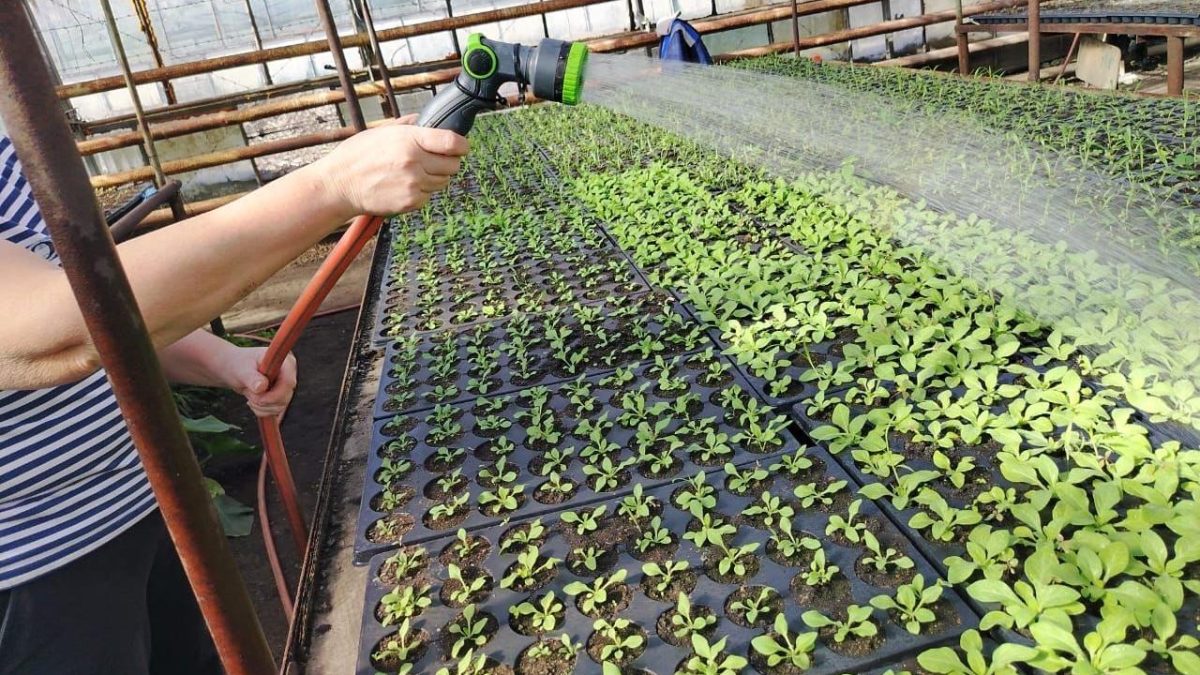 Фото: администрация Саранска