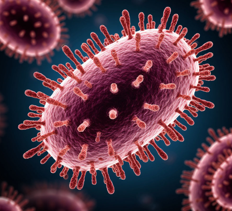 фото: pxhere.com/CC0