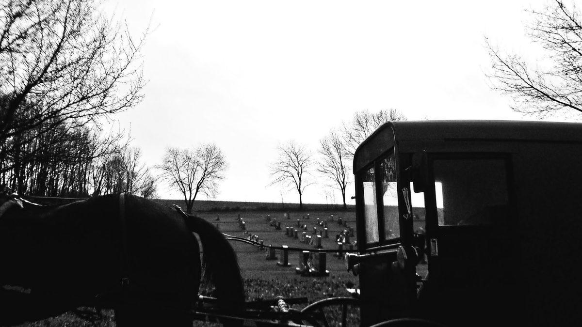 Фото: Matt Batchelor//flickr/CC BY-SA 2.0