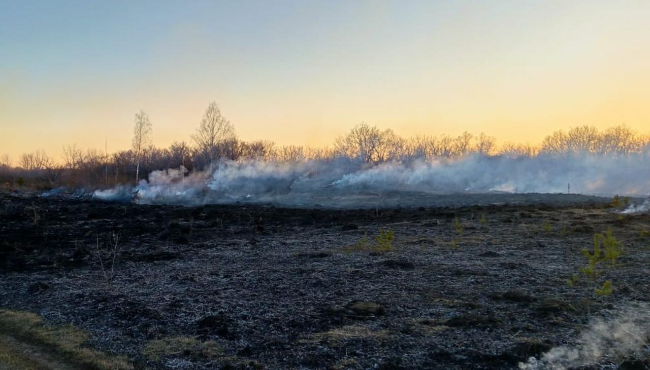 Фото: МЧС по РМ