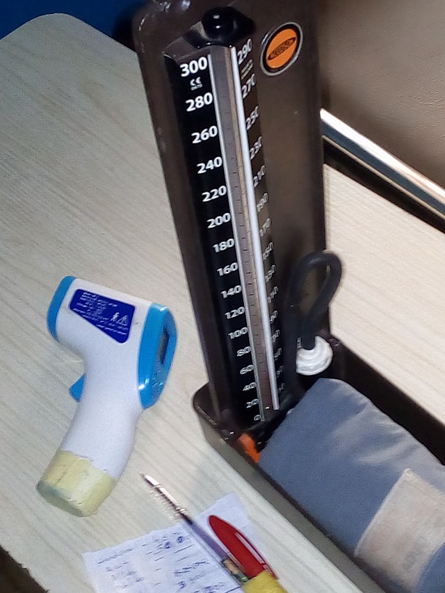 Фото: commons.wikimedia.org/Chibuikem Obi/Creative Commons Attribution-Share Alike 4.0