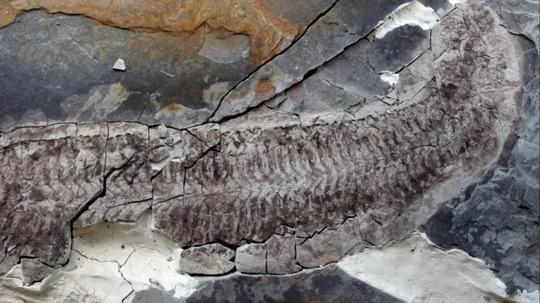 Фото: Sarah Gabbott