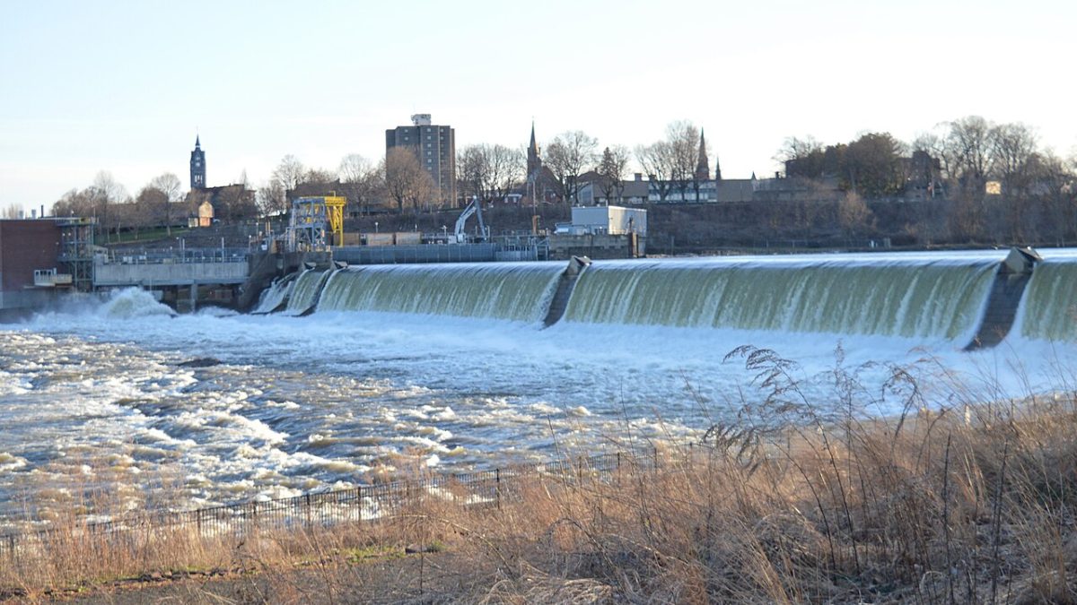 Фото: Simtropolitan/wikimedia.org/CC BY-SA 3.0