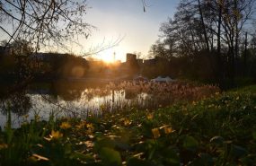 kurskaya oblast Хинштейн назвал главную проблему Курской области: и это - не ВСУ