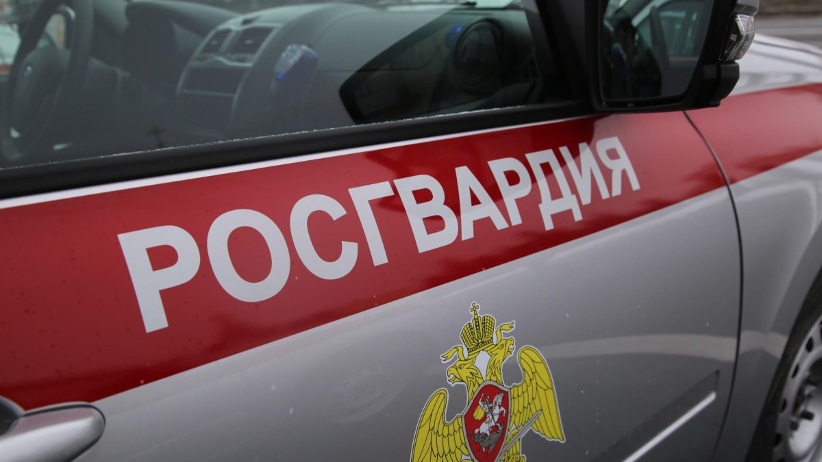 Фото: Росгвардия Мордовии