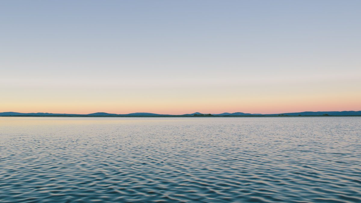 фото: pxhere.com/CC0