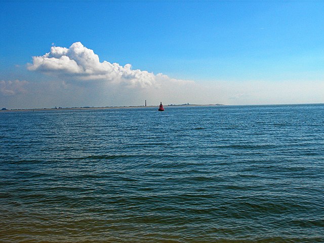 Фото: commons.wikimedia.org/Txllxt TxllxT/Creative Commons Attribution-Share Alike 4.0