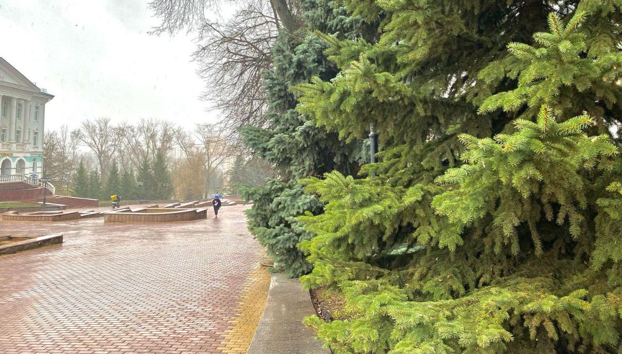 Фото: администрация Саранска