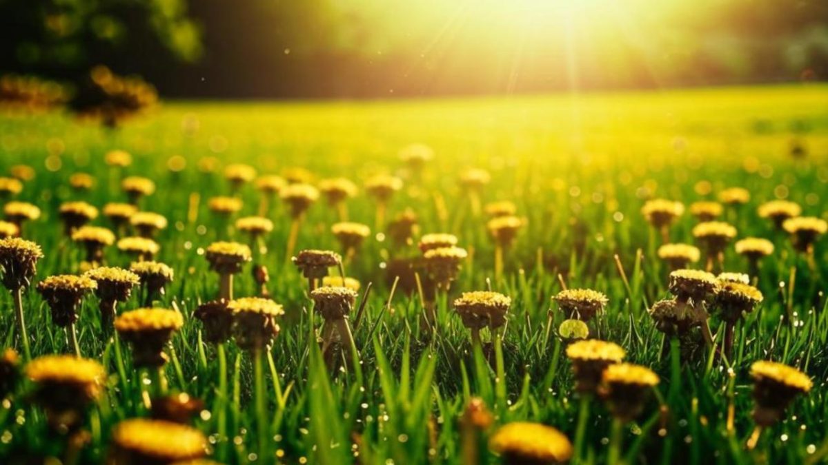 Фото сгенерировано нейросетью