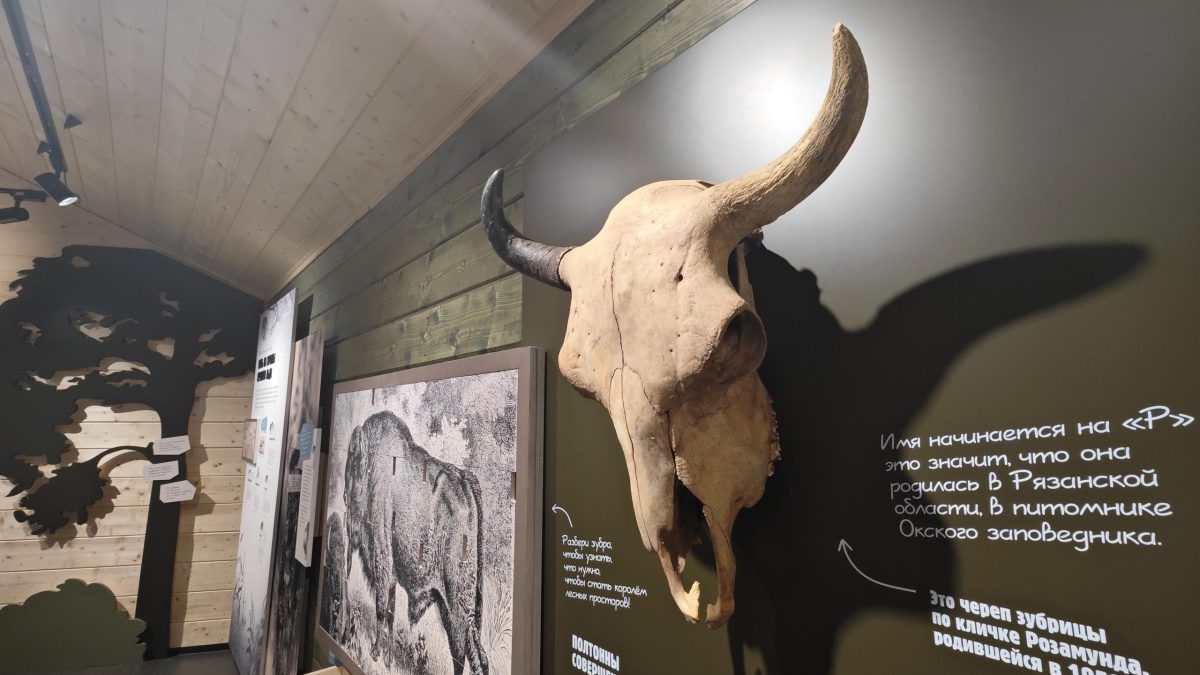 Фото: ФГБУ "Заповедная Мордовия"