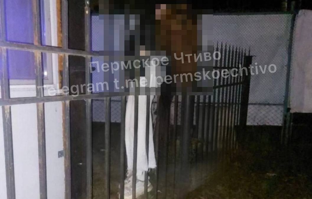 Фото: Telegram-канал «Пермское Чтиво»