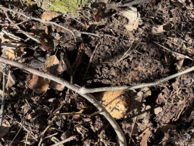 Фото: 13.мвд.рф