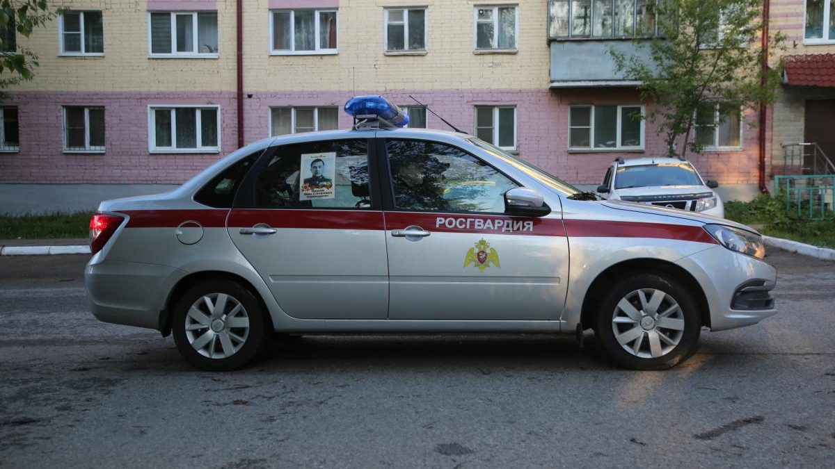 Фото: 13.rosguard.gov.ru