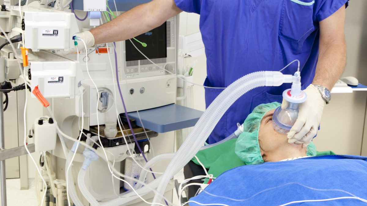 фото: pxhere.com/CC0