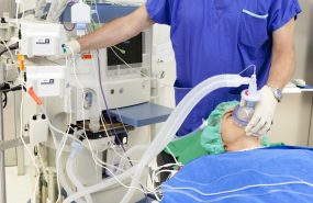 фото: pxhere.com/CC0