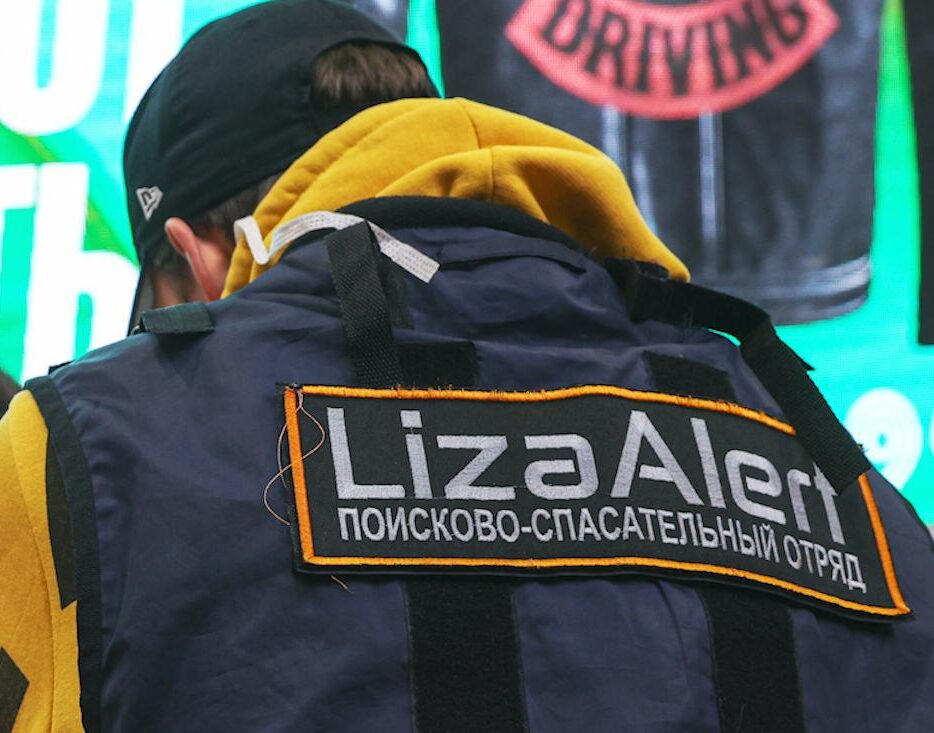 liza alert e1746730472725 В апреле в Петербурге и Ленобласти пропали без вести 275 человек