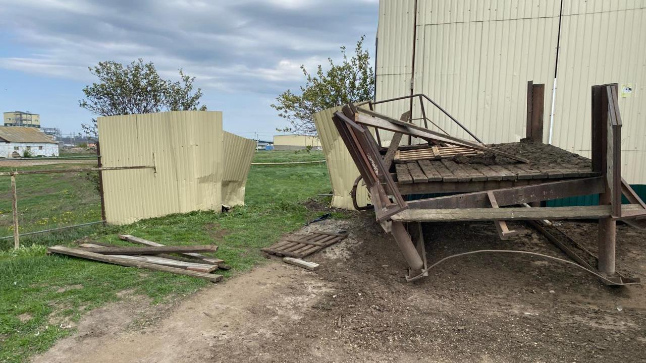 Фото: Госавтоинспекция Мордовии