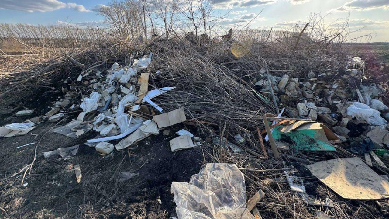Фото предоставлено пресс-службой МОО "Зеленый Фронт"