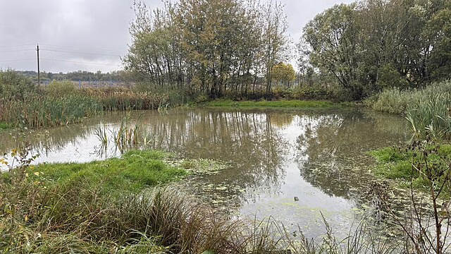 Фото: commons.wikimedia.org/U51N433/Creative Commons Attribution-Share Alike 4.0