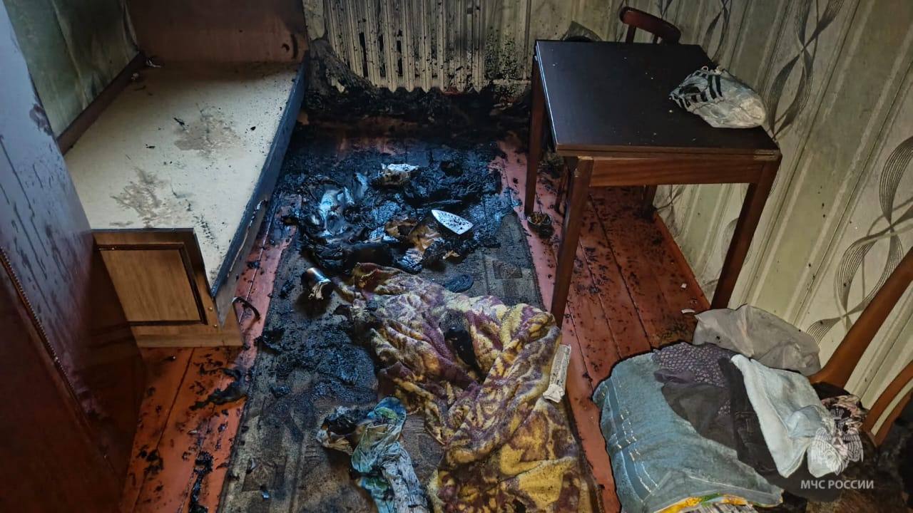 Фото: МЧС по РМ