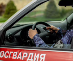 Фото: 13.rosguard.gov.ru