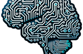 Фото: commons.wikimedia.org/JPxG/Public domain