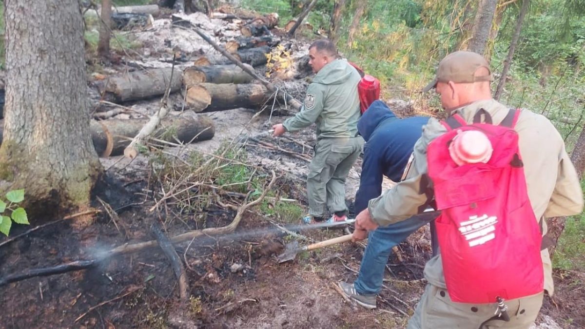 Фото: «Заповедная Мордовия»