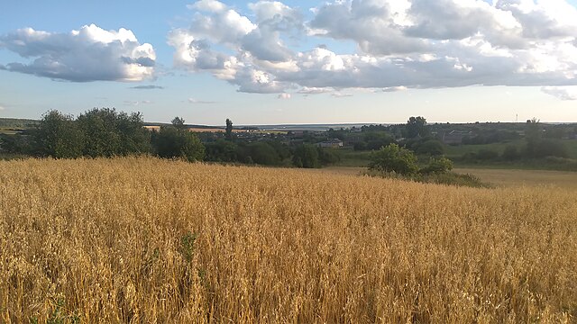 Фото: commons.wikimedia.org/Vaija/Creative Commons Zero, Public Domain Dedication