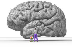 Фото: commons.wikimedia.org/Nicolas Rougier/GNU General Public License