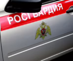 Фото: 13.rosguard.gov.ru