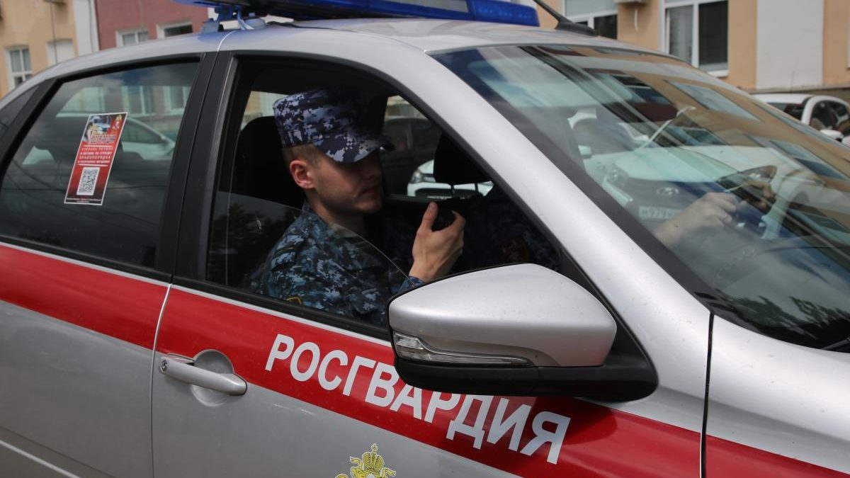 Фото: 13.rosguard.gov.ru